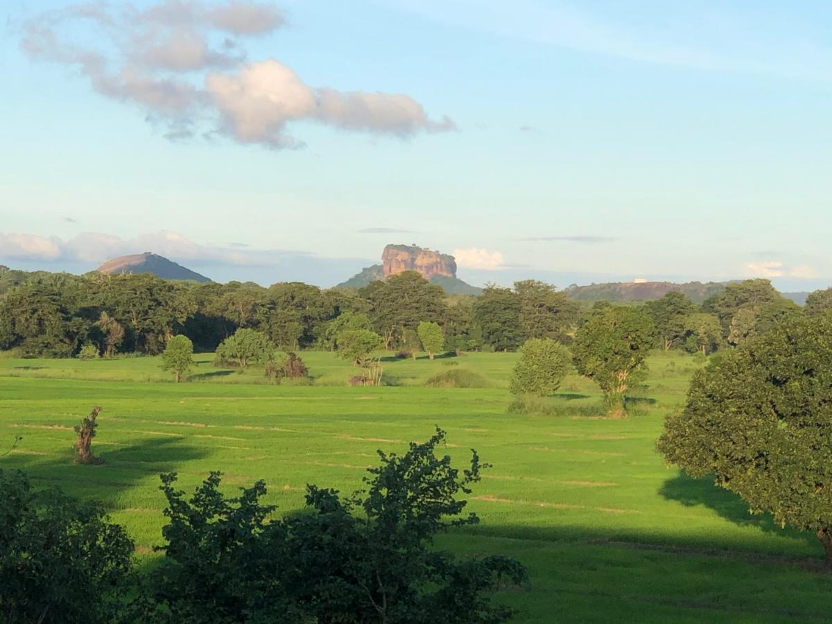Atteriya Sigiriya Hotel Buitenkant foto